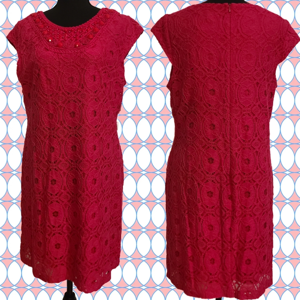 Sandra Darren Lace Dress